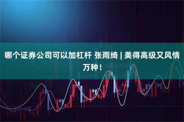哪个证券公司可以加杠杆 张雨绮 | 美得高级又风情万种！